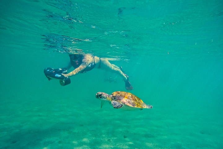 Glide with Turtles: Jet Snorkel Tour in San Juan, Puerto Rico photo 2
