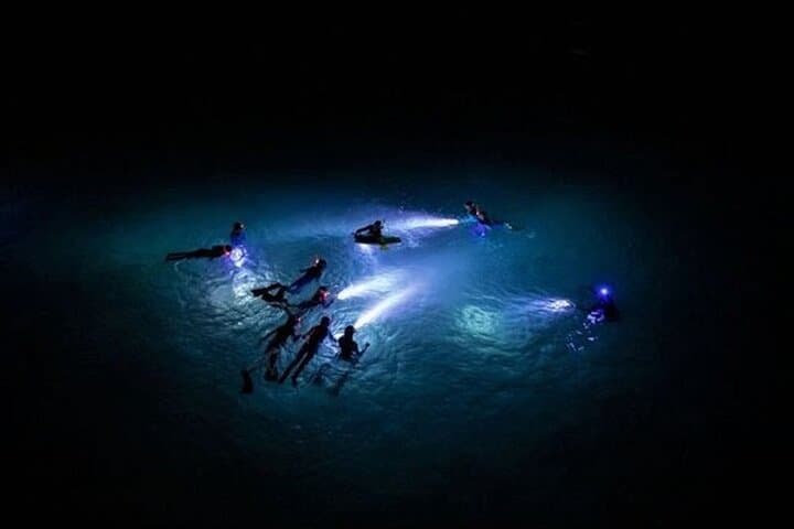 San Juan LED Night Snorkel: Guided LED & UV Night Reef Tour photo 4