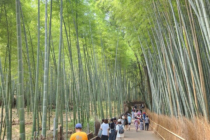 Kyoto Highlights: 6-Hour Private Car Tour — Fushimi Inari to Arashiyama photo 2