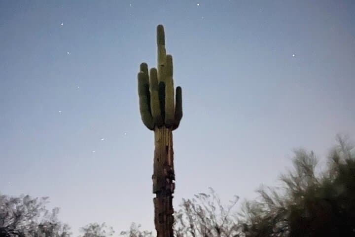 Phoenix Mountains Preserve Night Glow Hike: Scorpions & UV Lights in the Sonoran Desert photo 5