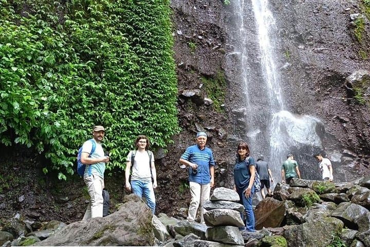 Bogor Full-Day Cultural Adventure: Curug Nangka Waterfall, Rice Fields & Botanical Garden photo 2