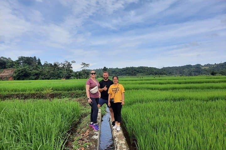 Bogor Full-Day Cultural Adventure: Curug Nangka Waterfall, Rice Fields & Botanical Garden