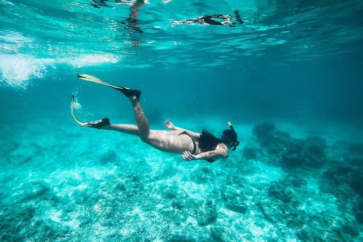 Speedboat Scuba to Racha Yai & Coral Island from Phuket photo 5