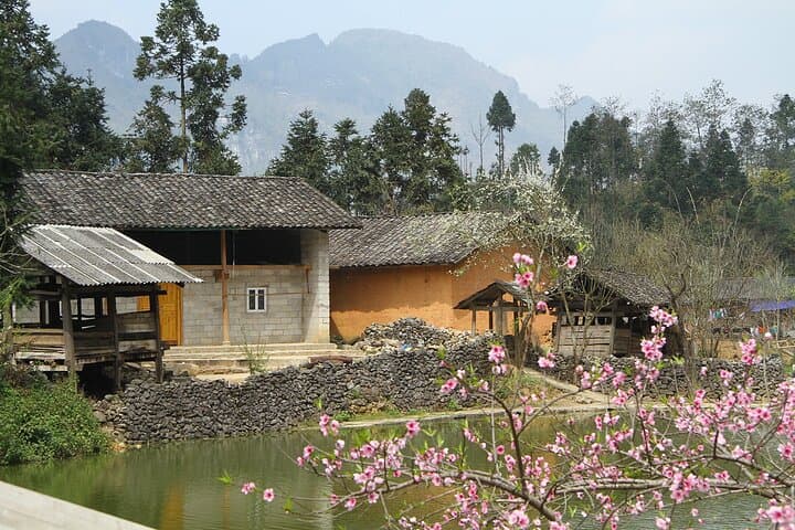 4-Day Ha Giang Motorbike Loop: Ma Pi Leng, Dong Van & Nho Que River photo 6