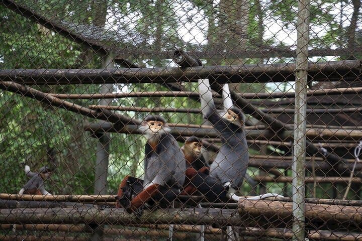 Exploring Cuc Phuong: Day Hike and Primate Rescue from Ninh Binh photo 2