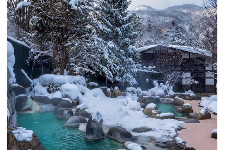 Nagano Snow Monkeys & Zenko-ji: Private Day Tour from Tokyo photo 5