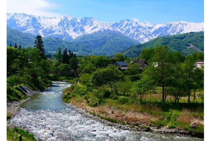 Nagano Snow Monkeys & Zenko-ji: Private Day Tour from Tokyo photo 6