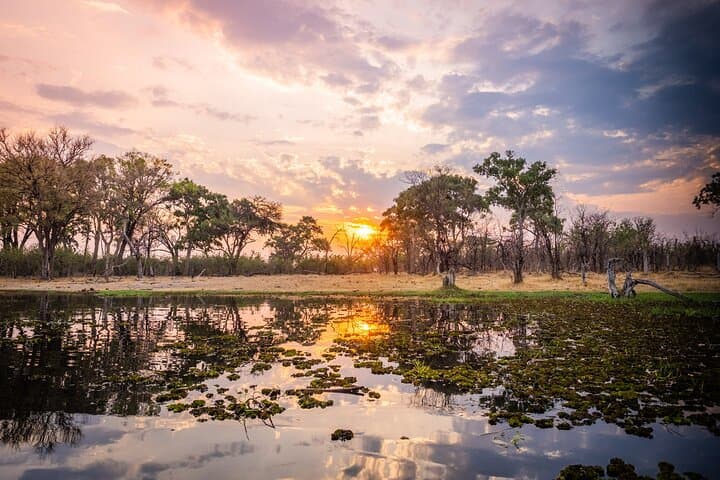 Overnight Mokoro Adventure in the Okavango Delta: Traditional Canoe & Island Camp photo 4