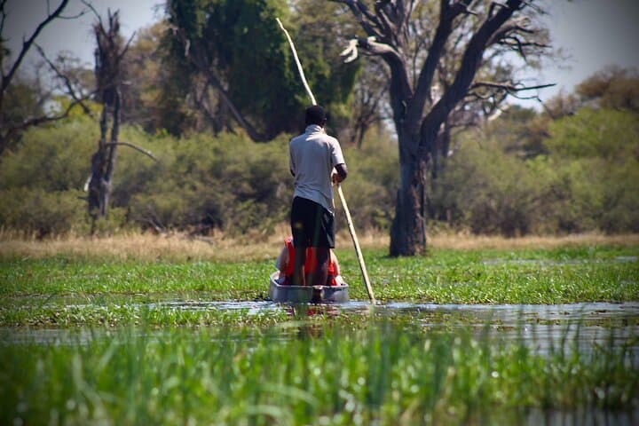 Overnight Mokoro Adventure in the Okavango Delta: Traditional Canoe & Island Camp photo 2