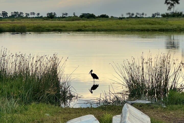 Overnight Mokoro Adventure in the Okavango Delta: Traditional Canoe & Island Camp photo 3