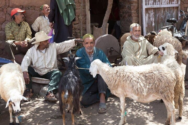 Ourika Valley & Setti Fatma: Private Day Trip from Marrakech to Berber Villages and Seven Waterfalls photo 5