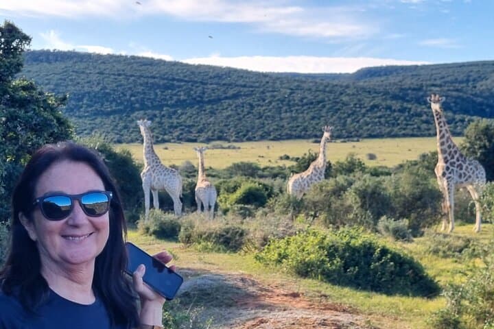 Addo Elephant Park Full-Day Safari and Guided Giraffe Walk from Port Elizabeth photo 5