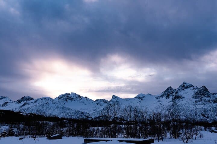 Tromsø Snowshoeing to Scenic Viewpoint: Midday Excursion with Hot Drinks photo 6