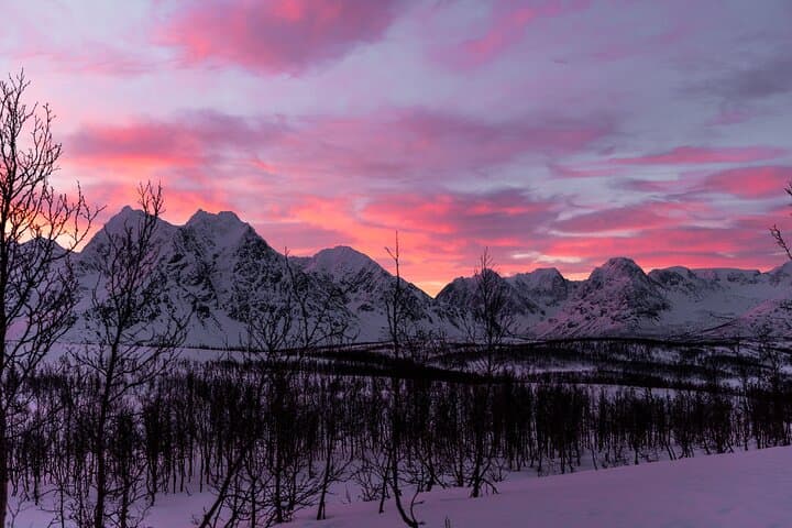 Tromsø Snowshoeing to Scenic Viewpoint: Midday Excursion with Hot Drinks photo 2
