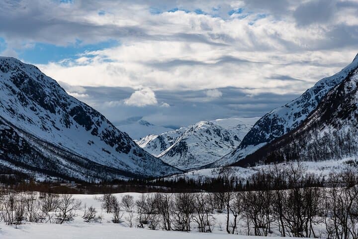 Tromsø Snowshoeing to Scenic Viewpoint: Midday Excursion with Hot Drinks photo 4
