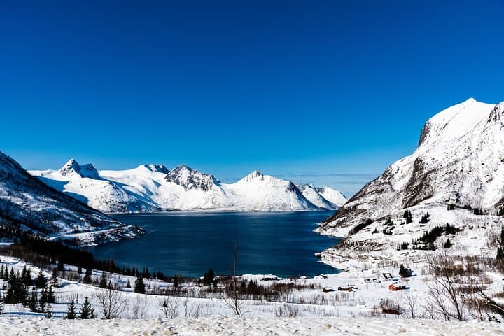 Tromsø Snowshoeing to Scenic Viewpoint: Midday Excursion with Hot Drinks photo 3