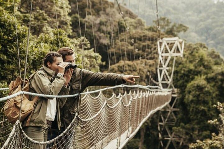 Nyungwe Canopy Walk & Waterfall Day Trip from Kigali — Full-Day Rainforest Adventure photo 5