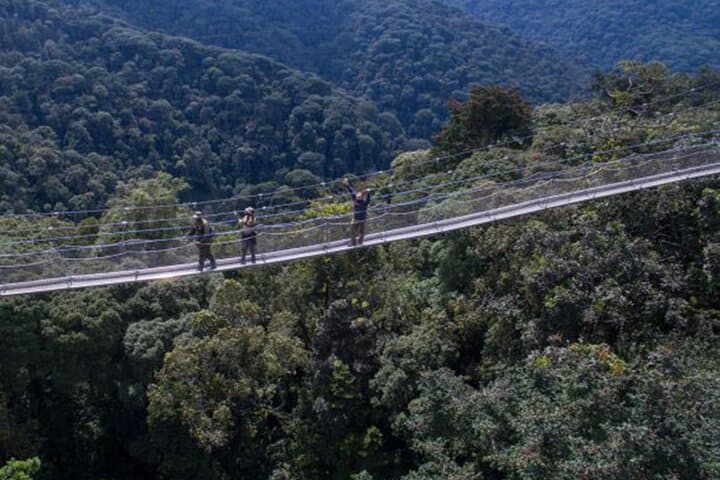 Nyungwe Canopy Walk & Waterfall Day Trip from Kigali — Full-Day Rainforest Adventure photo 6