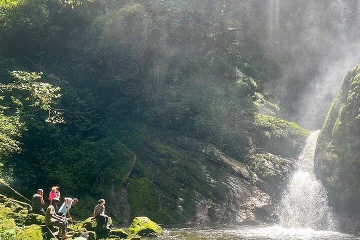 Nyungwe Canopy Walk & Waterfall Day Trip from Kigali — Full-Day Rainforest Adventure photo 2