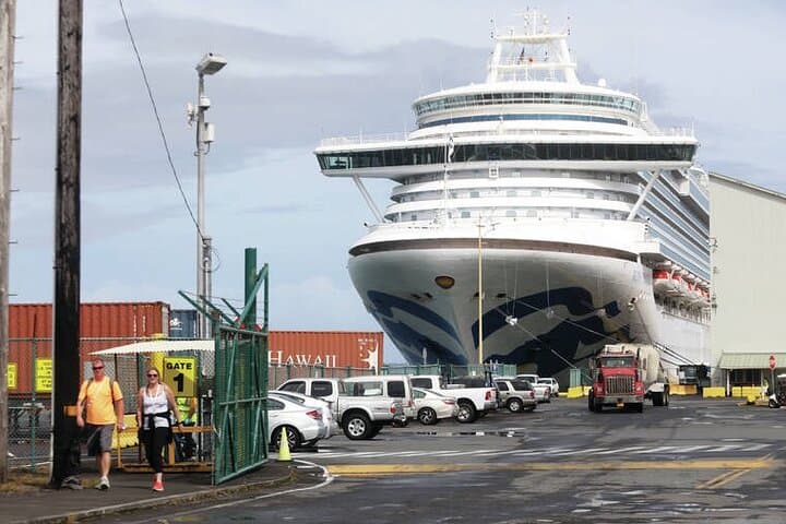 Southampton Cruise Port to Heathrow & Gatwick Private Transfers — Fast Meet-and-Greet Service photo 6