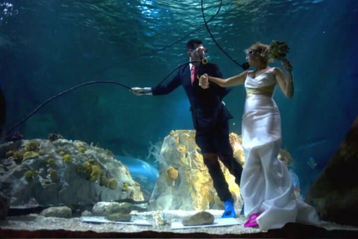 Hurghada Underwater Proposal on the Red Sea: Eternal Depths Romantic Dive Experience photo 2