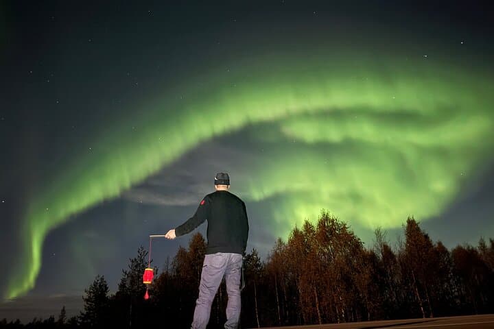 Aurora Dreamscape Tour from Rovaniemi: Hunt the Northern Lights in Lapland