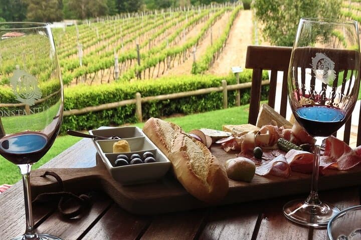 Table Mountain and Constantia Wine Tasting Tour — Cape Town in a Day photo 2