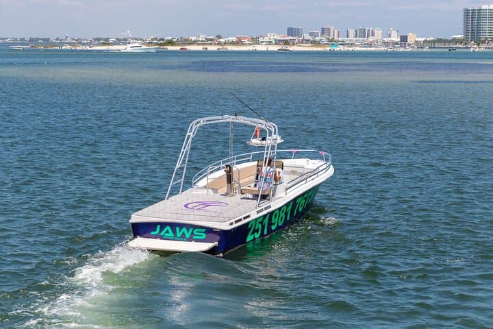 Parasail Over Alabama’s Gulf: Orange Beach Aerial Adventure photo 5