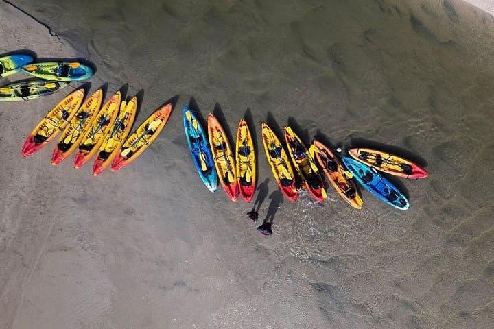 Bio Bay Night Kayaking in Fajardo: Laguna Grande Bioluminescence Tour photo 2