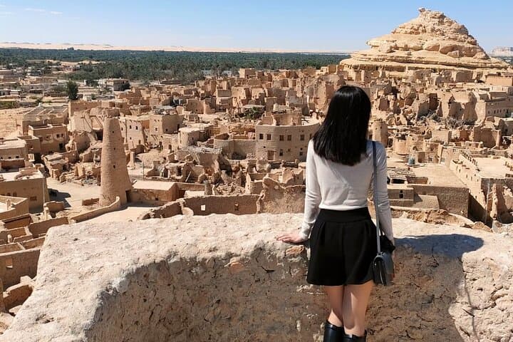 Private Siwa Oasis Full-Day Tour: Salt Lakes, Oracle Temple & Shali Fortress
