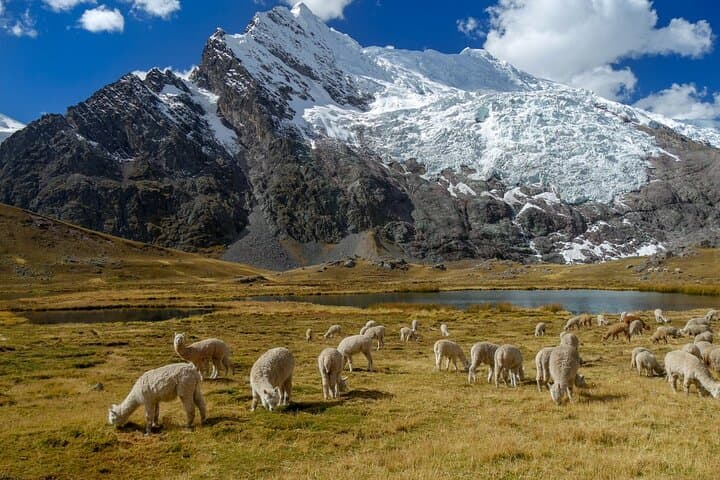 Ausangate Trek and Rainbow Mountain: 5-Day High-Andes Expedition from Cusco photo 2