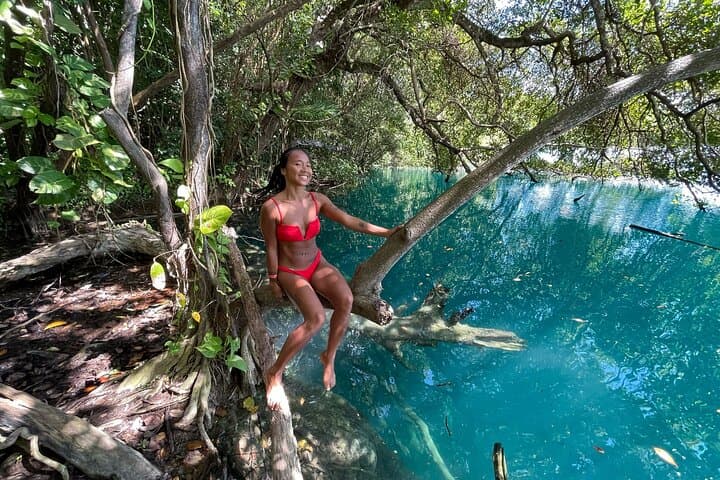 Full-Day Bacalar Boat Tour: Cenote Azul & Lagoon of Seven Colors from Cancun