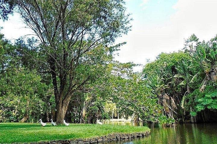 North Mauritius Private Day Tour — Pamplemousses Garden, L’Aventure du Sucre & Port Louis photo 6