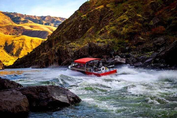 Hells Canyon Jet Boat Adventure: Scenic River Tour with Wildlife & Whitewater
