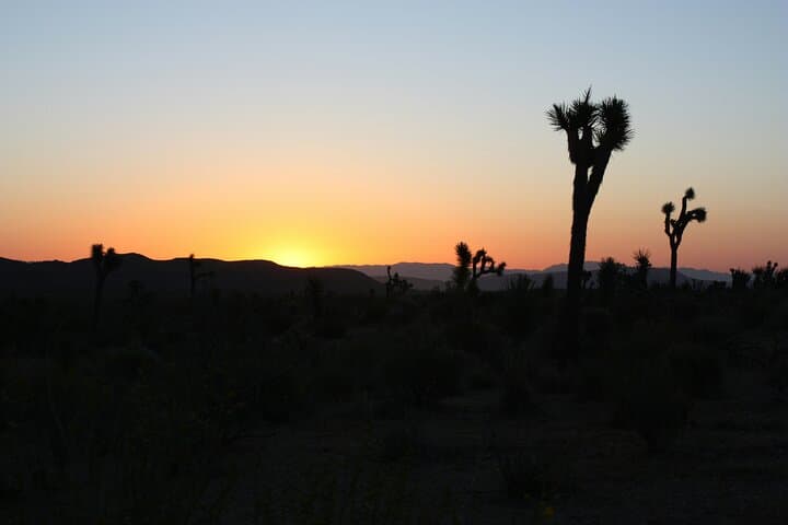Death Valley Sunset & Stargazing Small-Group Tour from Las Vegas photo 2