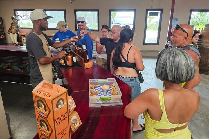 Roatán Guided Wildlife, Chocolate & Rum Tasting Tour photo 2