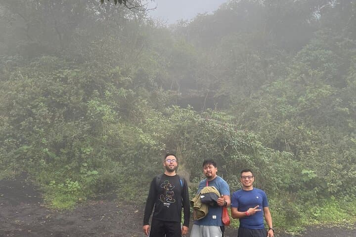 Hike Pacaya Volcano from Antigua: Petrified Lava, Summit Views & Local Guides