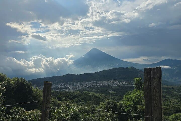 Hike Pacaya Volcano from Antigua: Petrified Lava, Summit Views & Local Guides photo 5