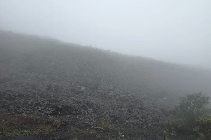 Hike Pacaya Volcano from Antigua: Petrified Lava, Summit Views & Local Guides photo 6