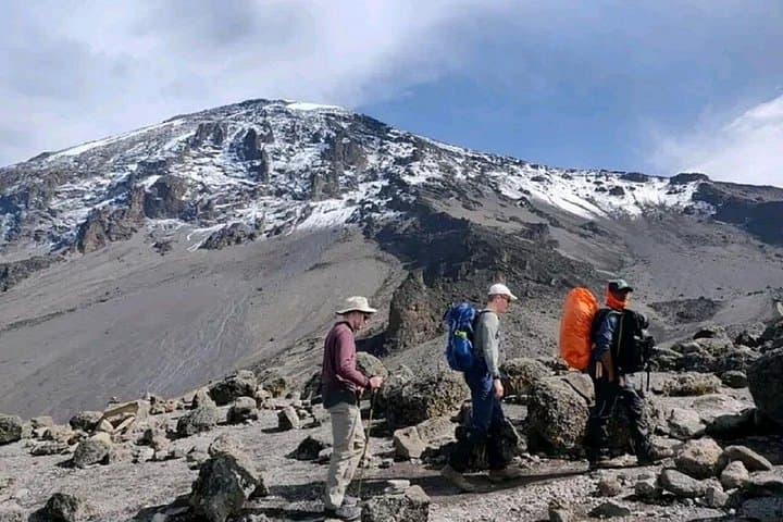 One-Day Machame Route Hike on Kilimanjaro: Day Trek from Moshi photo 3