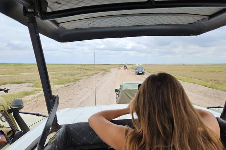 Amboseli in Two Days: Elephant Herds and Kilimanjaro Views photo 6