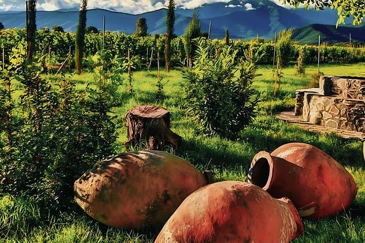 Private Kakheti Wine Tour from Tbilisi — Sighnaghi, Bodbe & Local Tastes photo 4