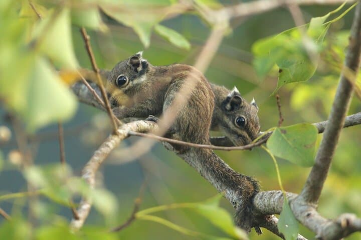 Hike the Heart of Cat Ba National Park: Trekking, Biking & Kayaking in Lan Ha Bay photo 4