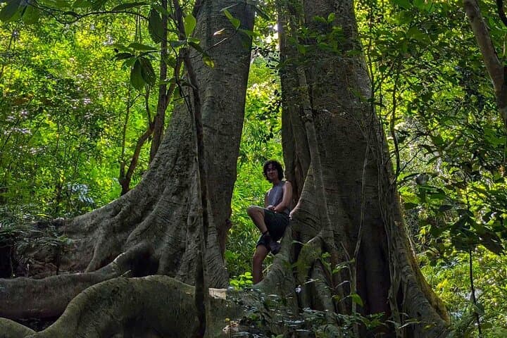 Hike the Heart of Cat Ba National Park: Trekking, Biking & Kayaking in Lan Ha Bay