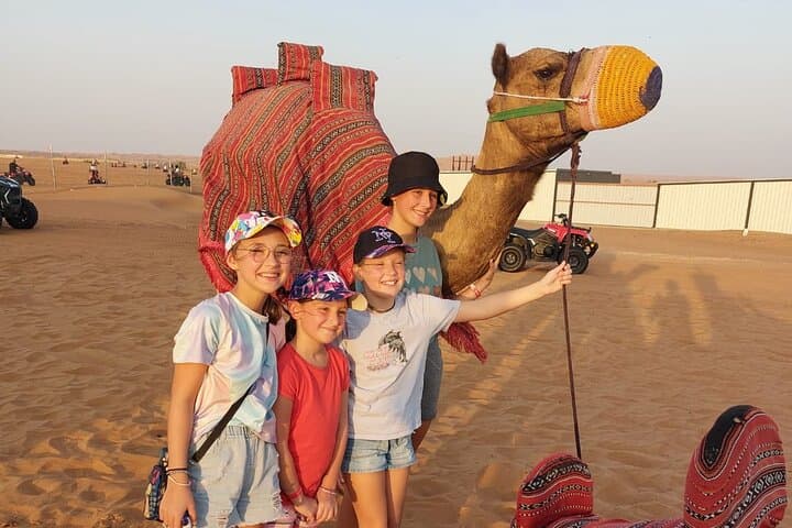 Evening Desert Safari in Abu Dhabi — Camel Ride, Dune Bashing & BBQ Under the Stars photo 3