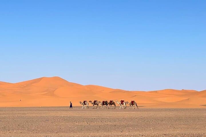 3-Day Desert Tour from Marrakech to Erg Chebbi — Camel Treks, Kasbahs & Dunes