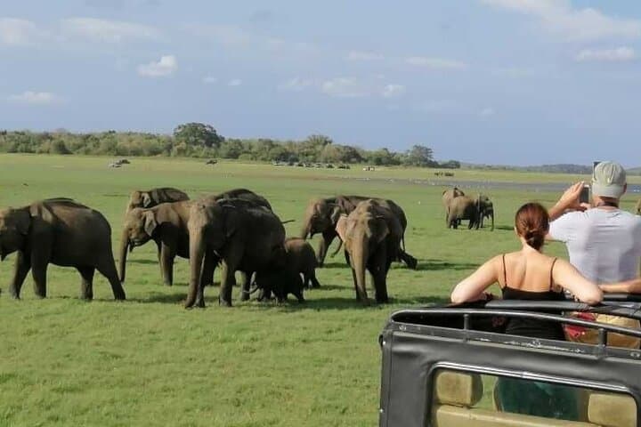Discover Sri Lanka: Heritage, Wildlife, and Waves Adventure photo 6
