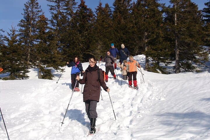 Snowshoe Hike in the Allgäu: Grasgehren Winter Trails & Guided Tours photo 1