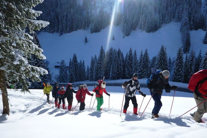 Snowshoe Hike in the Allgäu: Grasgehren Winter Trails & Guided Tours photo 2