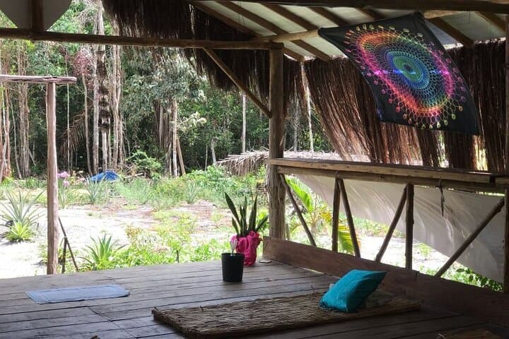 Ayahuasca Ceremony in Itacaré: Shamanic Expansion with Luiza & Oriam photo 3